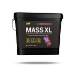 CNP Mass XL High Calorie Mass Gainer 4.8kg