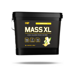 CNP Mass XL High Calorie Mass Gainer 4.8kg